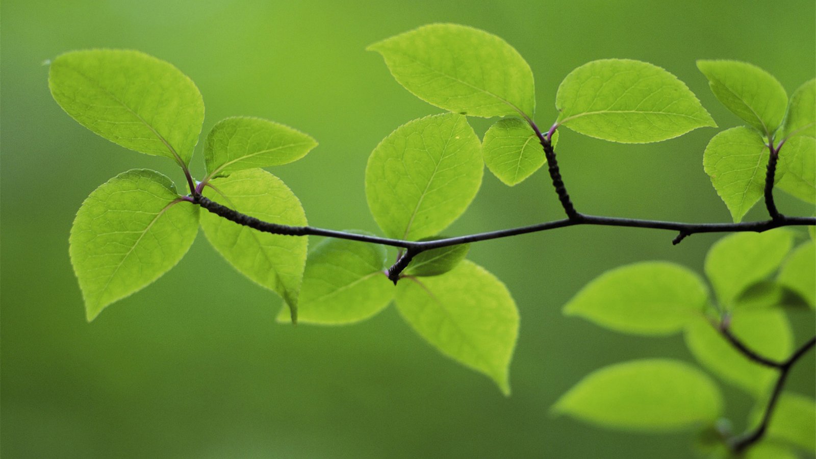 4414站长论坛使用体验测评