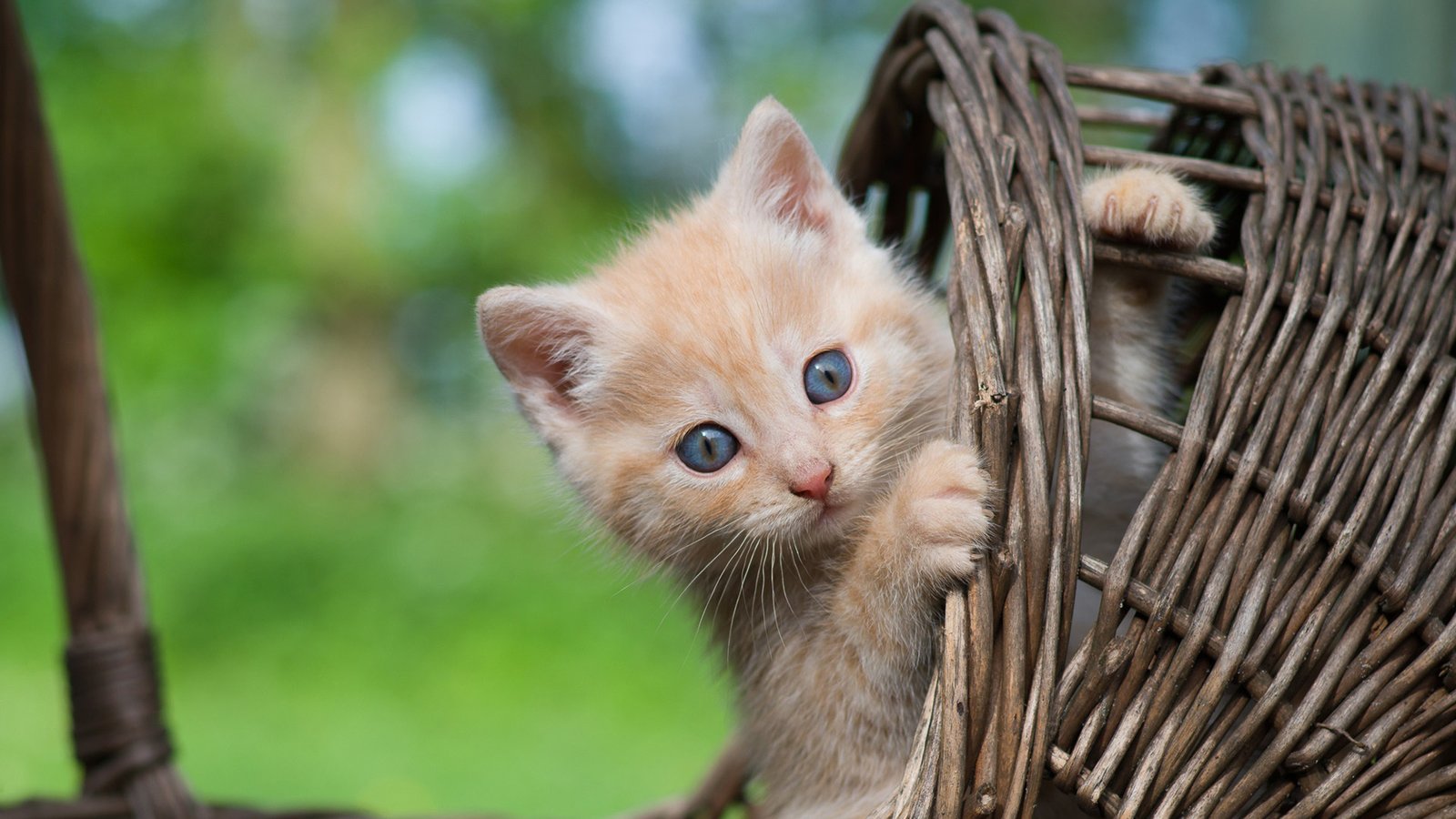 织梦程序的正确玩法,织梦网站也能玩出新高度