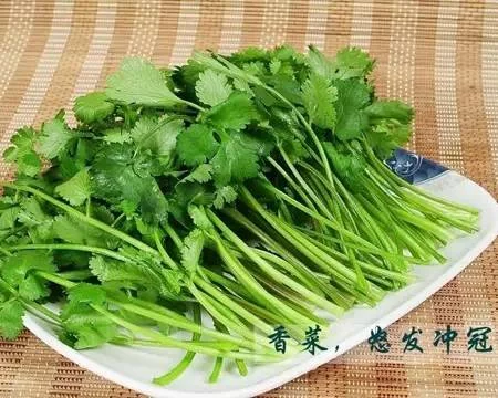 t01d827cc05f0e18168.webp
