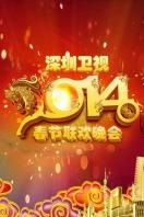 深圳卫视春节特别节目 2014