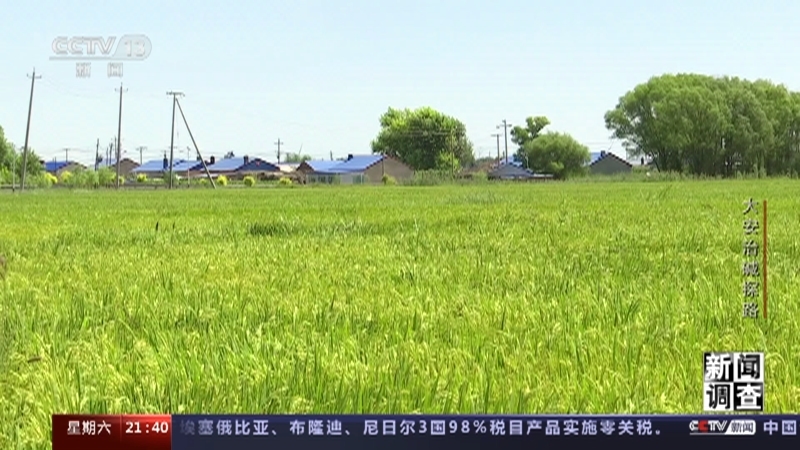 新闻调查
