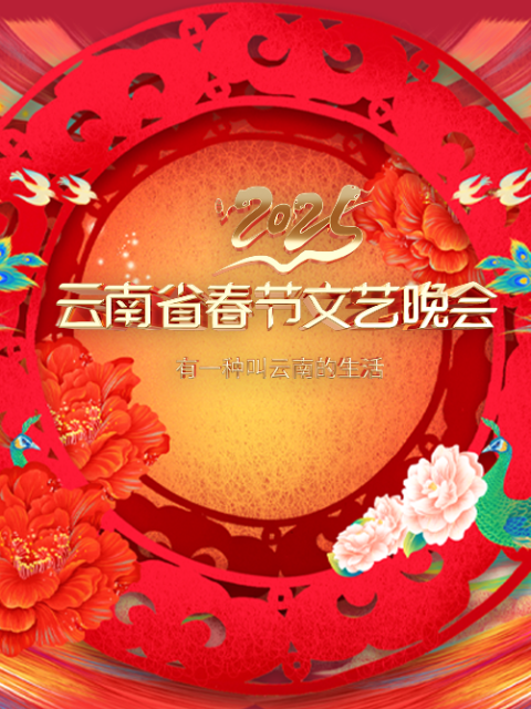 2025云南省春节文艺晚会