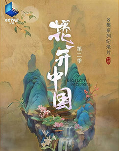 花开中国第二季