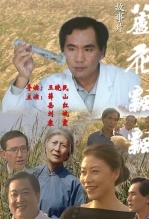 芦花飘飘
