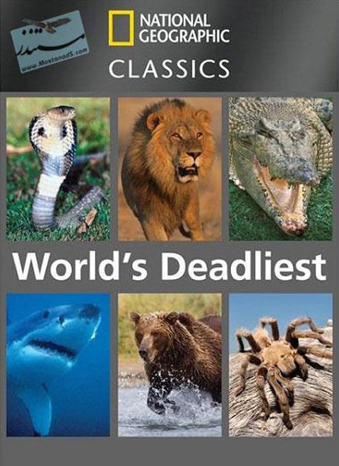 致命动物（WORLD'S DEADLIEST: JAWS AND SINS）