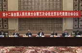 北京代表团向媒体开放审议活动 