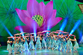 《舞动北京》全民广场舞大赛决赛出炉