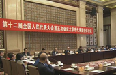 北京代表团审议全国人大常委会工作报告