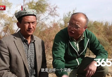 中国梦365个故事：沙漠绿洲