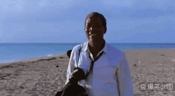 341_188gif 动态图 动图