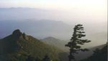 承德雾灵山森林公园