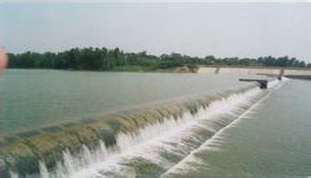 泌阳河