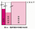 细胞内液