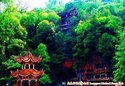 龙泉森林公园