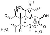 东革阿里提取物