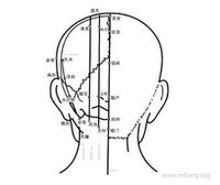 别名颞颥.属足少阳胆经.位于风池穴直上,与枕骨粗隆上缘相平处.主