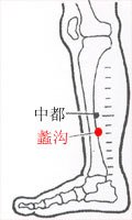 蠡沟穴