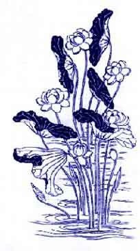 仙鹤立高枝 猜成语半吉_仙鹤简笔画(3)