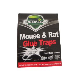 出口英文版绿叶粘鼠板45g粘鼠屋老鼠笼捕鼠器