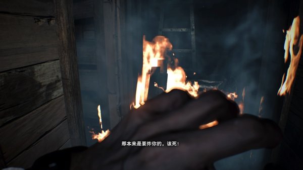 疯儿子的游戏 (119).jpg
