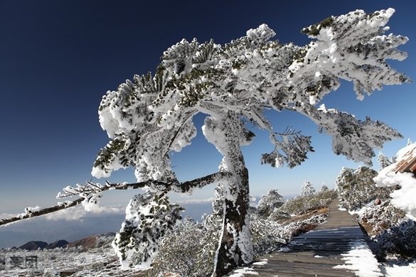 【电话换票】轿子雪山风景区套票+往返索道,欢