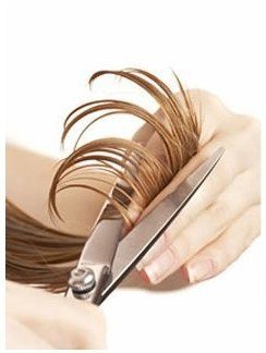 尚艺险峰美发店烫发精剪造型1次!团购价仅需1