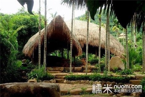 呀诺达+踏瀑戏水拓展省活动!欣赏梦幻谷美景,