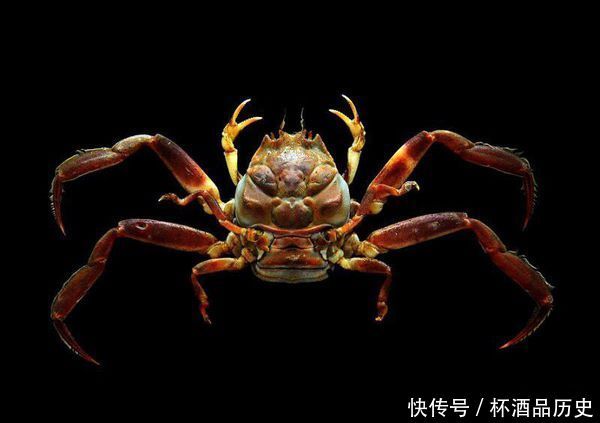 日本民间传说十大妖怪知多少:最后一个数量恐怖!