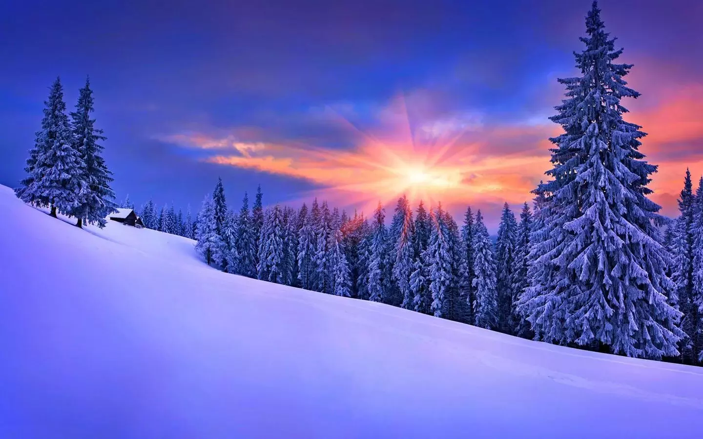 软件 壁纸主题 >雪花高清壁纸  冬季雪景高清壁纸冬天来了,一起来欣赏