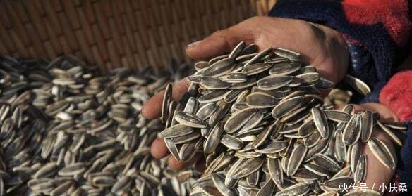 老汉进城卖瓜子,多找顾客的钱,大妈贪便宜蜂拥