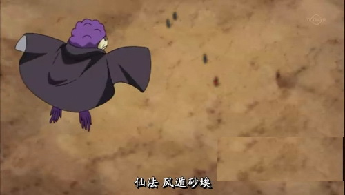 志麻仙人