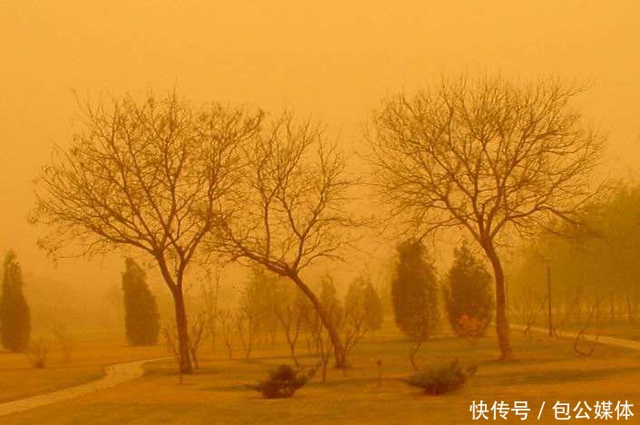 为何韩国预防沙尘暴会在中国种树?原因你可能
