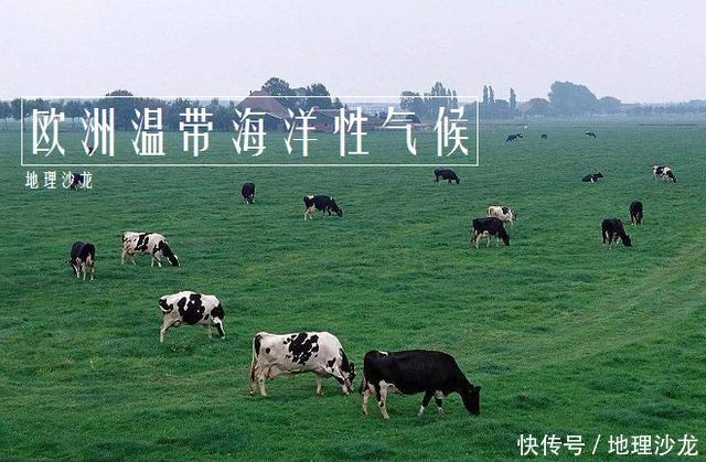 为什么欧洲会形成世界上最为典型的温带海洋性
