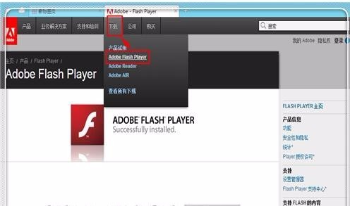 电脑系统的 flash player插件怎么更新_360问答