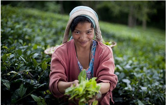 农村老婆又懒又败家,3年后我悔青肠子