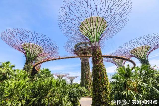 这是什么节奏?新加坡竟然花了10亿打造“原始森林”