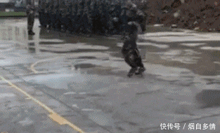 车船使用税怎么交