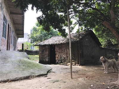 广西退休法官被害案行凶者:每年都会回来寻仇