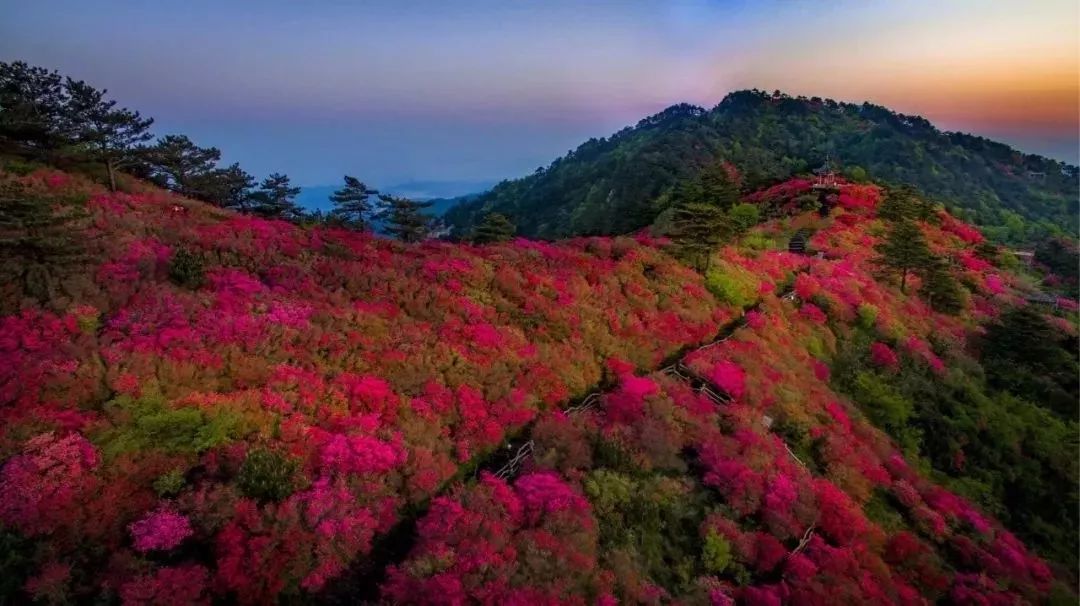 湖北又拿下一个世界级称号!这个地方再也藏不住了!