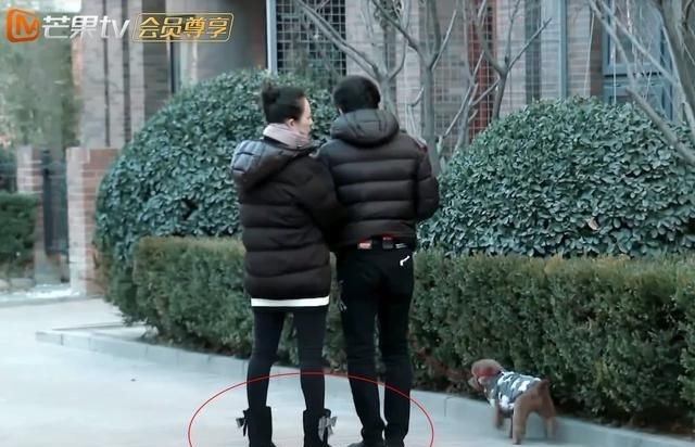 章子怡汪峰在小区里遛狗,当看清她脚上这双鞋