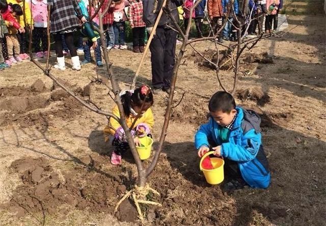 幼儿园植树节活动策划方案【一】