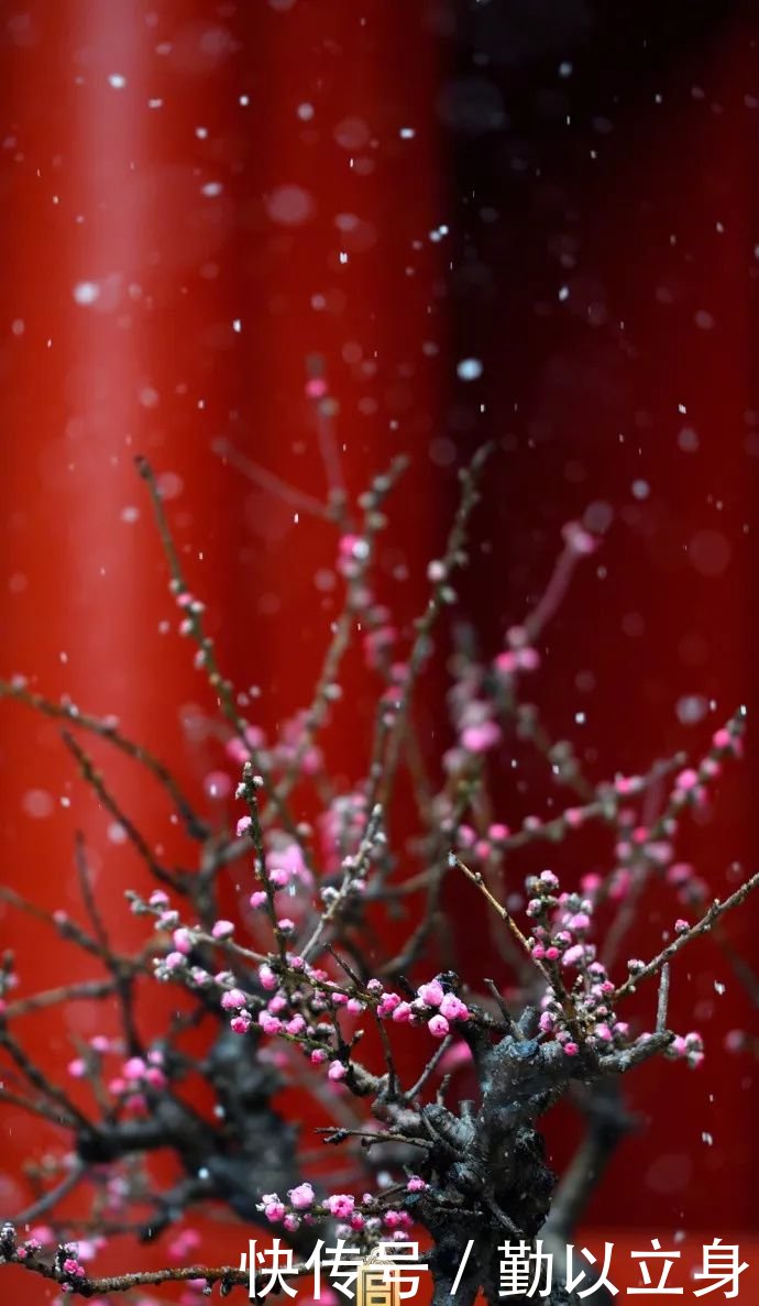 等下雪的时候,故宫就变回紫禁城,你真想不到有