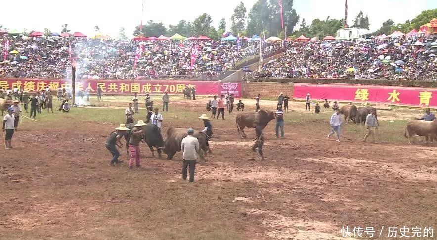 火把节期间长湖民族文化活动广场举行民族传统斗牛比赛 新世纪线上官网