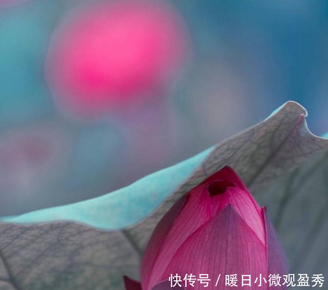 t0112cb38857803aa91.jpg