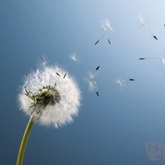 励志高考,励志视频至2018,即将高考,迷茫的大学