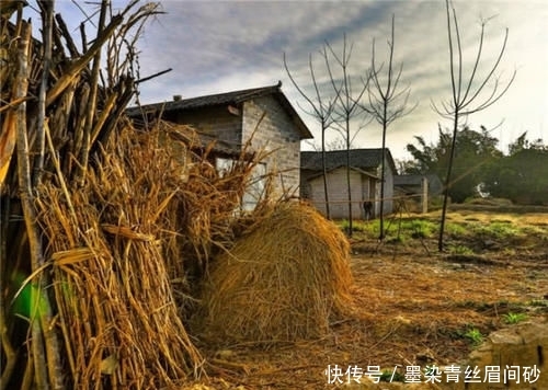 农村交养老保险