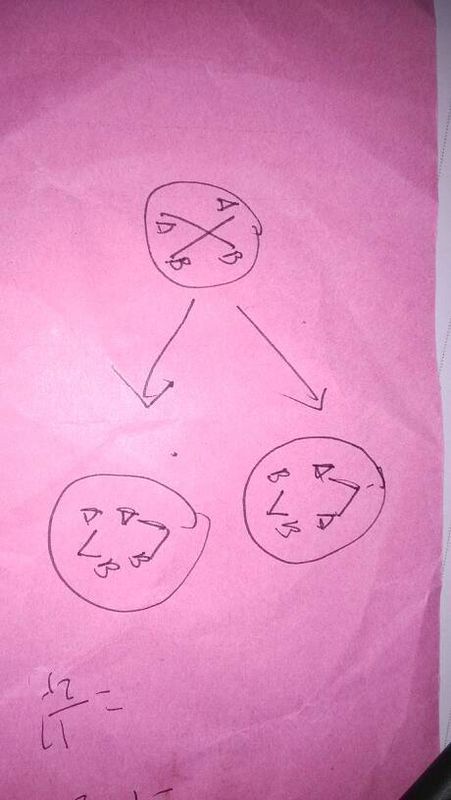 高中生物追加200分 减数第二次分裂后期等位基