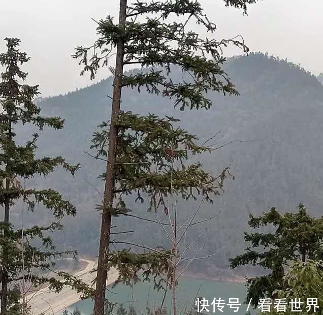 信阳这三个景点山美水美,关键人还少,最适宜五