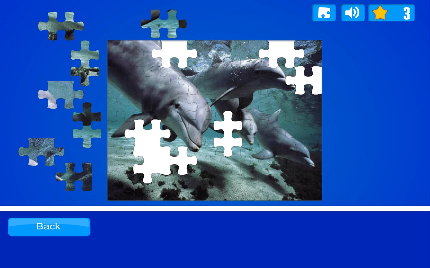 Dolphin Puzzles截图3