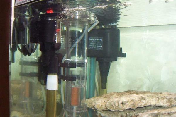 1. What types of aquariums and fish tanks do Sarikei <strong><mark>Aquatic</mark></strong> shops provide?